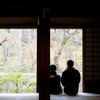 枝垂桜