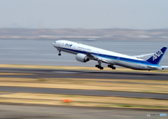 ANA785