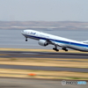 ANA785