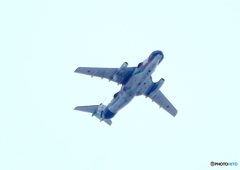 EC-1　カモノハシ