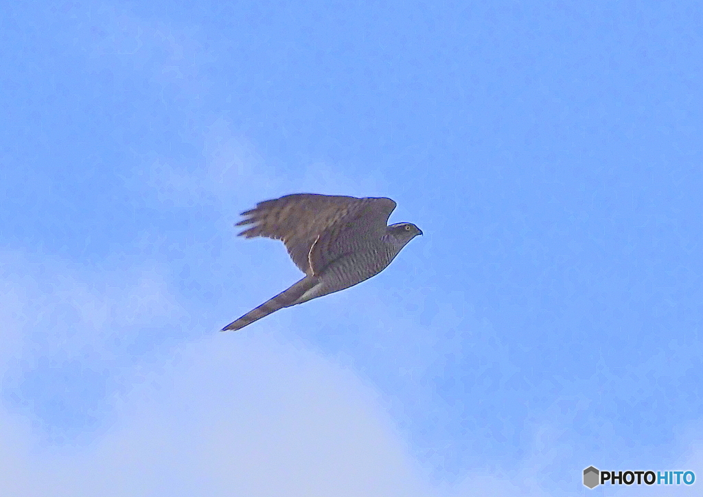 青空に・・・