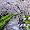 新河岸川