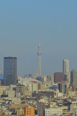 skytree01