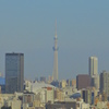 skytree01