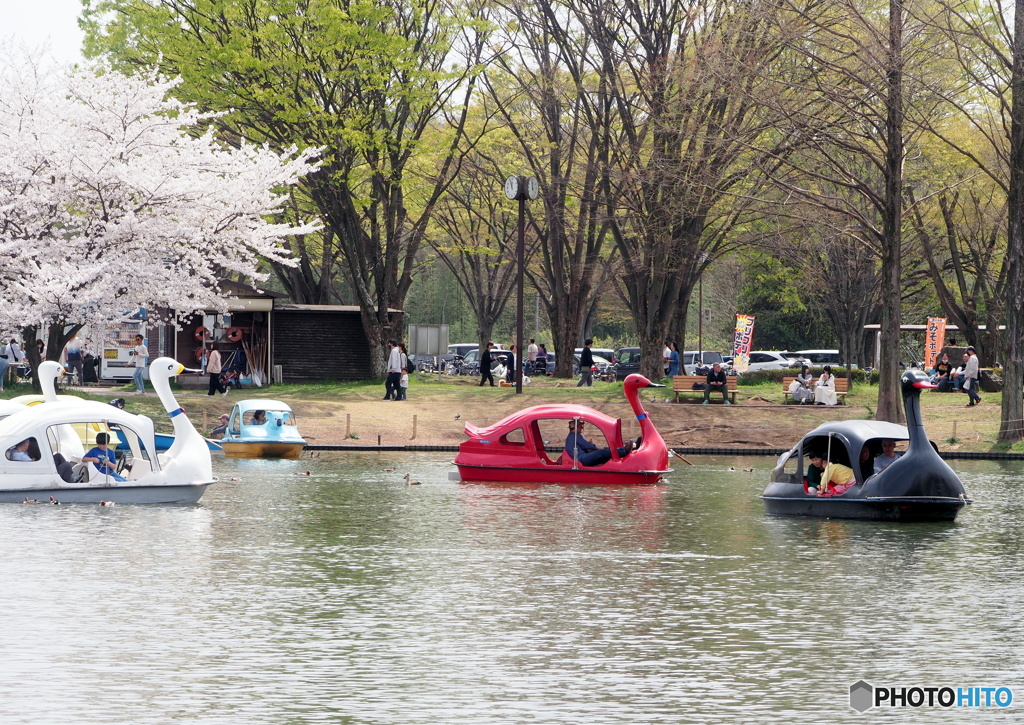 水上公園