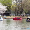 水上公園