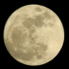 2011  Super Moon
