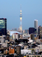 skytree03