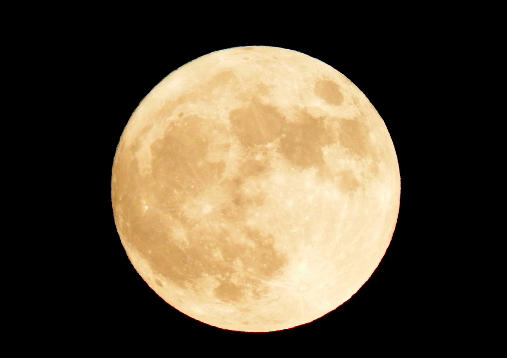 Blue-Moon