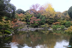 日本庭園　古川邸