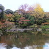 日本庭園　古川邸