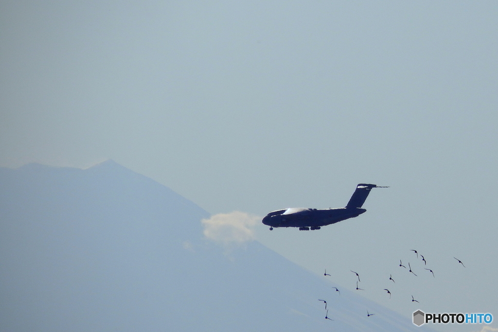 C-２と富士山と野鳥