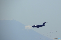 C-２と富士山と野鳥