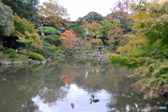 古川邸　日本庭園