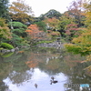 古川邸　日本庭園