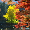 御嶽山