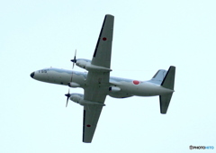 YS-11