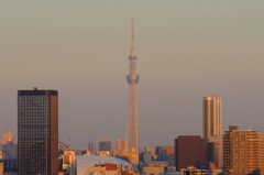 skytree02