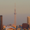 skytree02