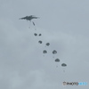 JGSDF 1st Airborne Brigade　 4K