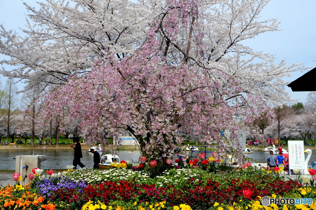 水上公園