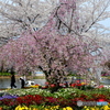 水上公園