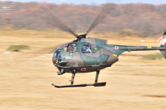 OH-6D