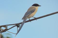 DSCN0087