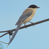 DSCN0087