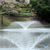 桜と噴水　W