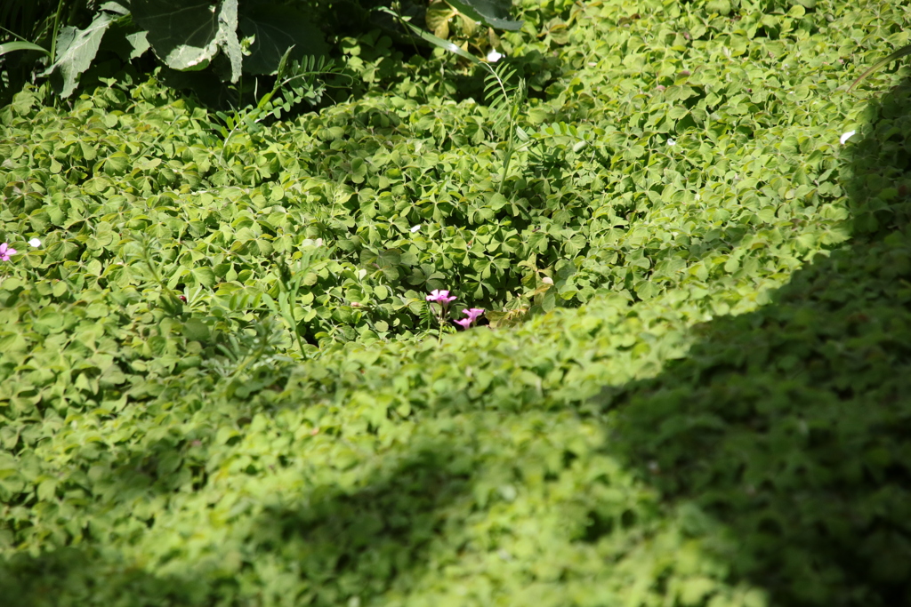 ″ぽつんと一軒家”