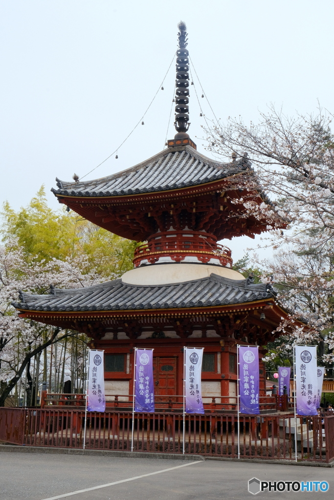 川越喜多院　さくら祭り③