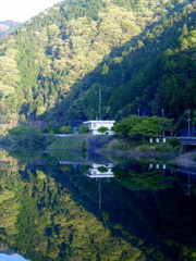 DSCF4826