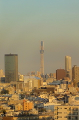 東京スカイツリー