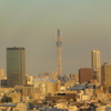 東京スカイツリー