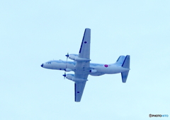 YS-1１