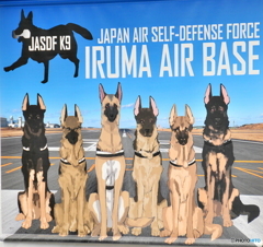 入間基地 ランウェイウォーク2025