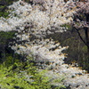 DSCF2152