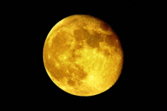 2013  Gold Moon