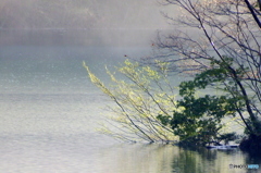 朝霧の湖