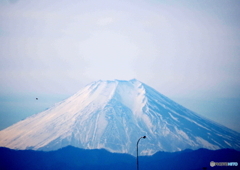 FUJI