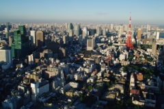 東京 2010