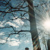 2006
