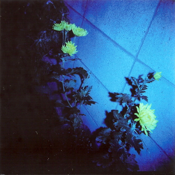 2007