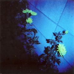 2007