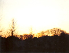 2006