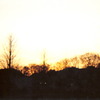 2006