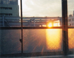 2006