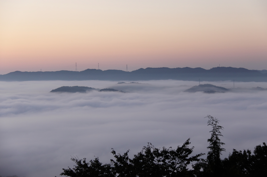 佐用の雲海