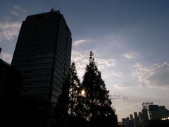 大阪堺の夕暮れ